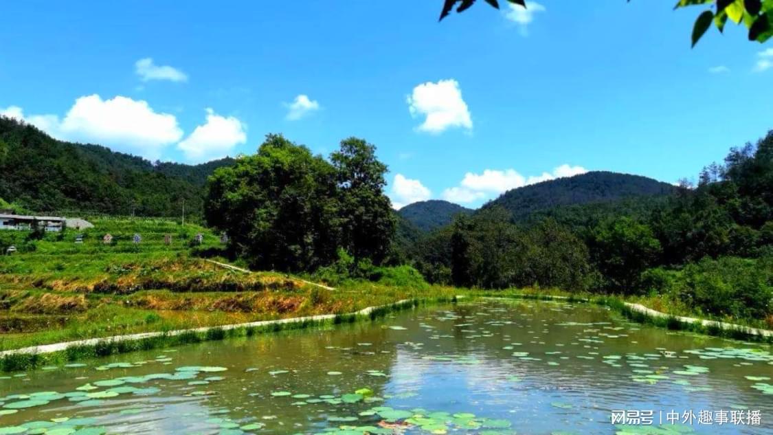 全网最便宜自助下单平台dy